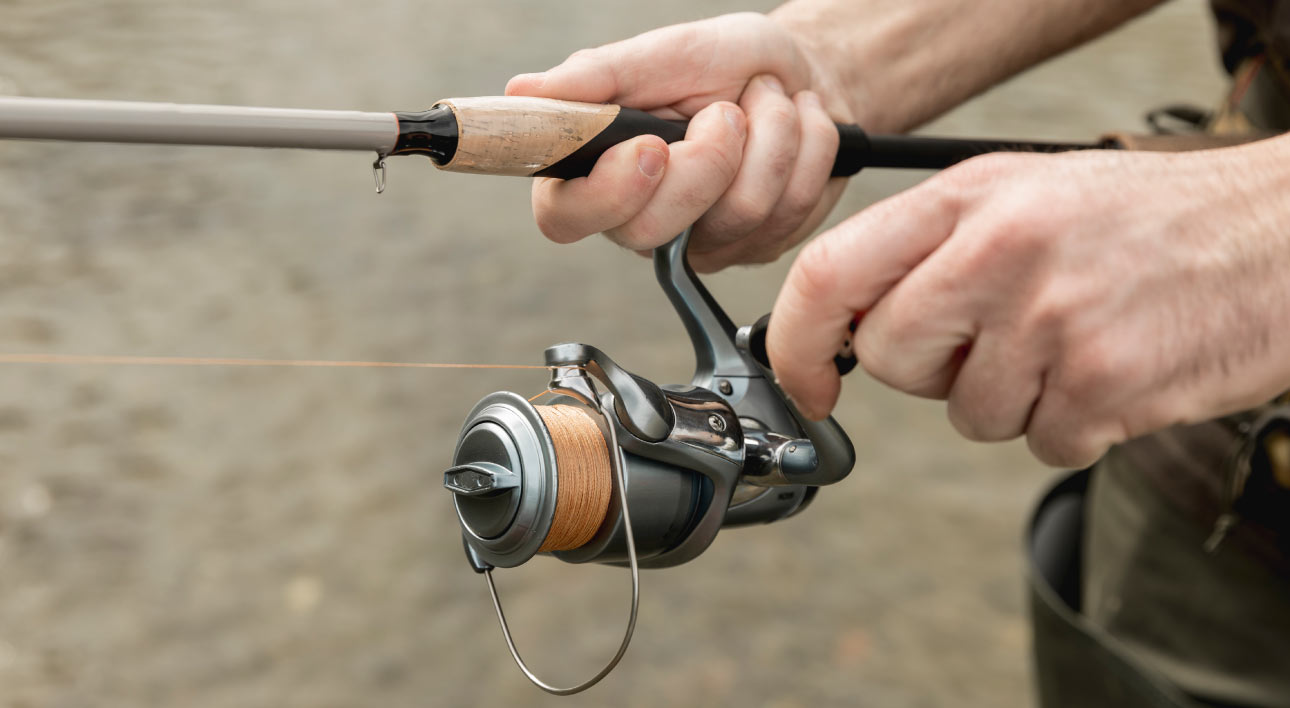 pesca