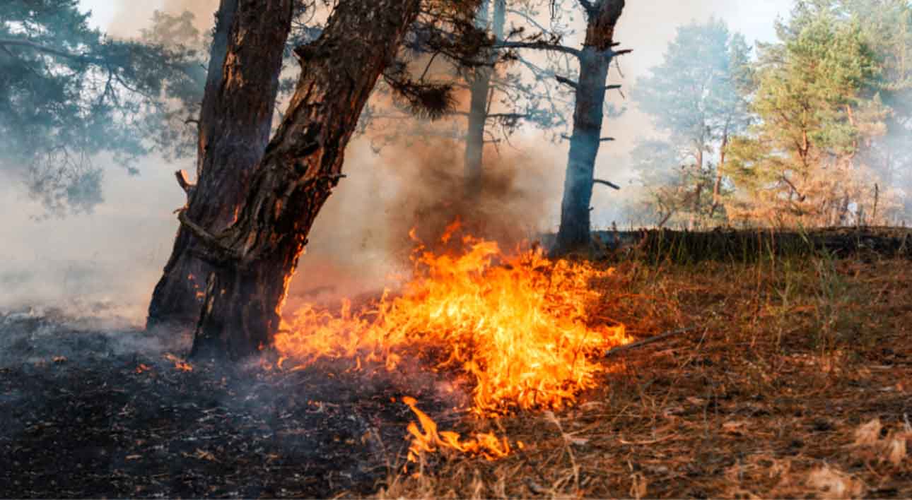 Ordinanza antiincendi fondi